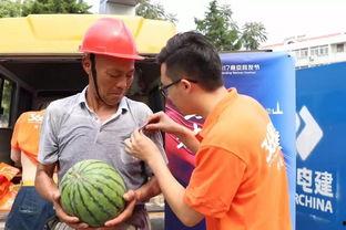 娱乐吃瓜群众1分队