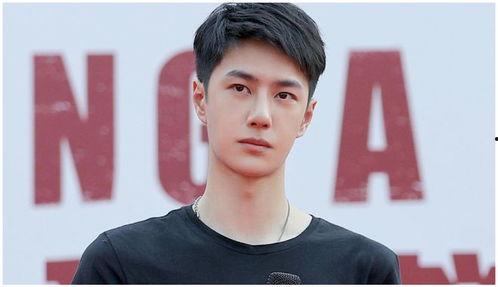 吃瓜娱乐圈王一博,娱乐圈的瓜中明星，魅力与实力并存