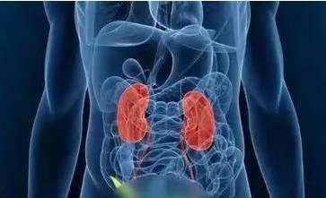 娱乐吃瓜酱胰腺癌